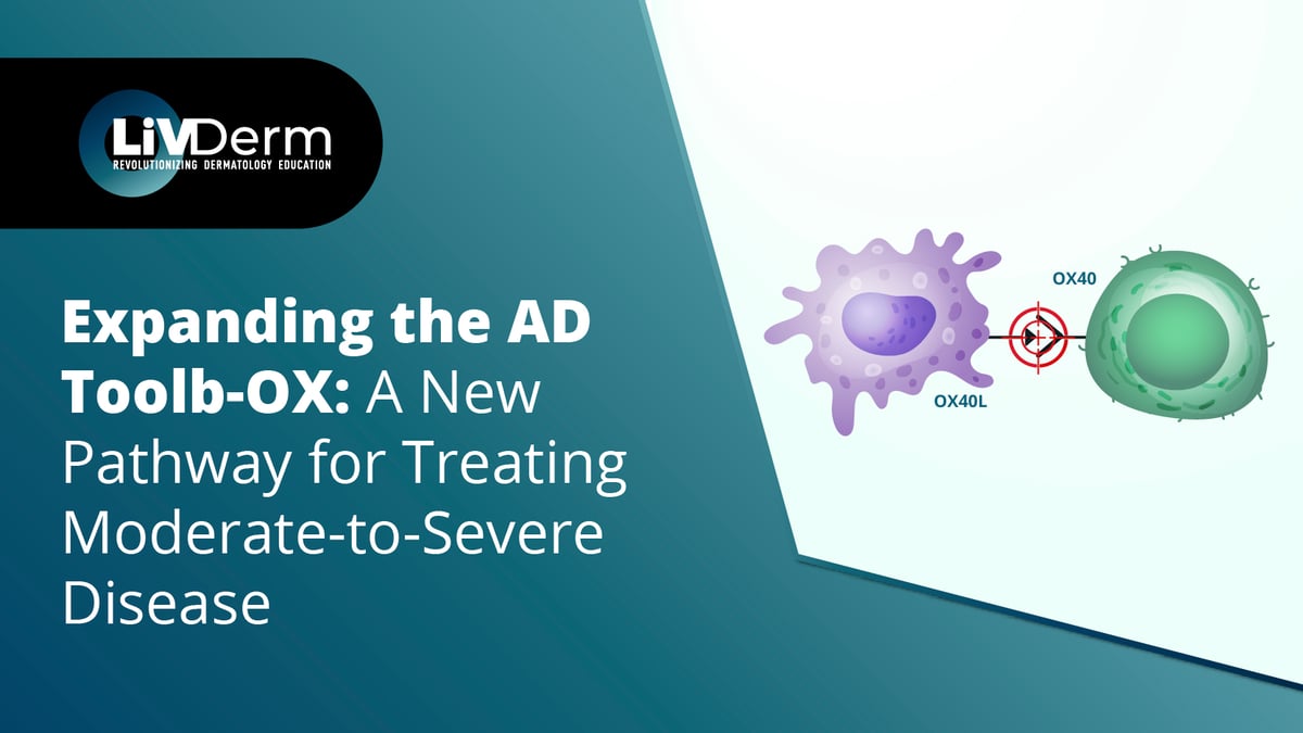 Expanding the AD Toolb-OX